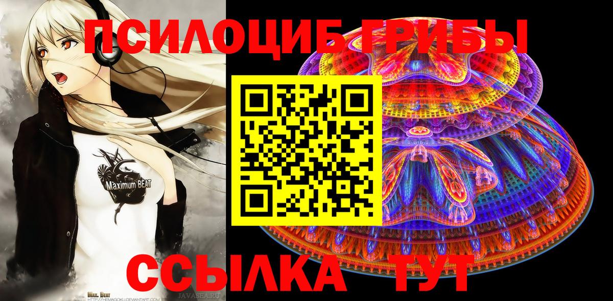 Галлюциногенные грибы Psilocybine cubensis Дубна