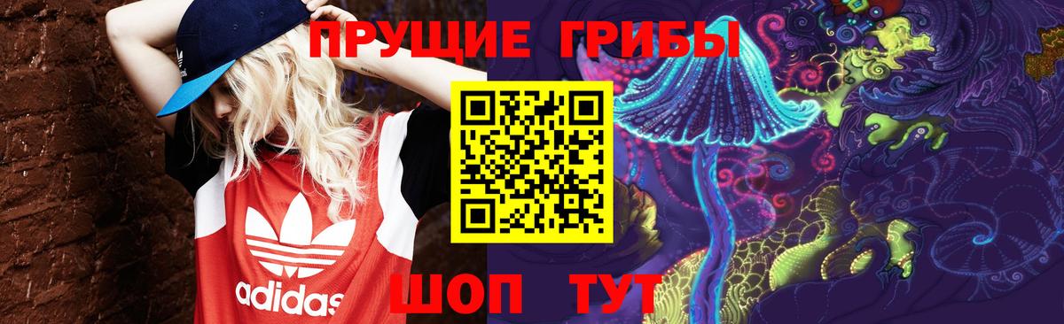 Дубна  цена   Вход с VPN  Галлюциногенные грибы Psilocybe 